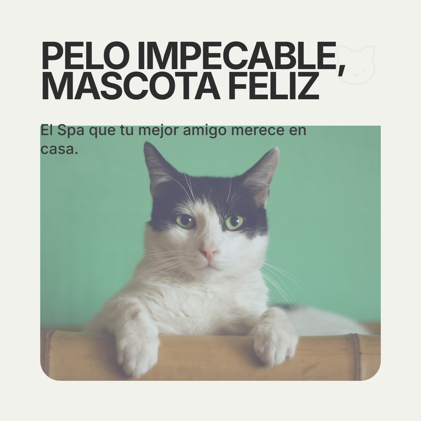 PetGlow “Tu mascota impecable, tu hogar feliz”
