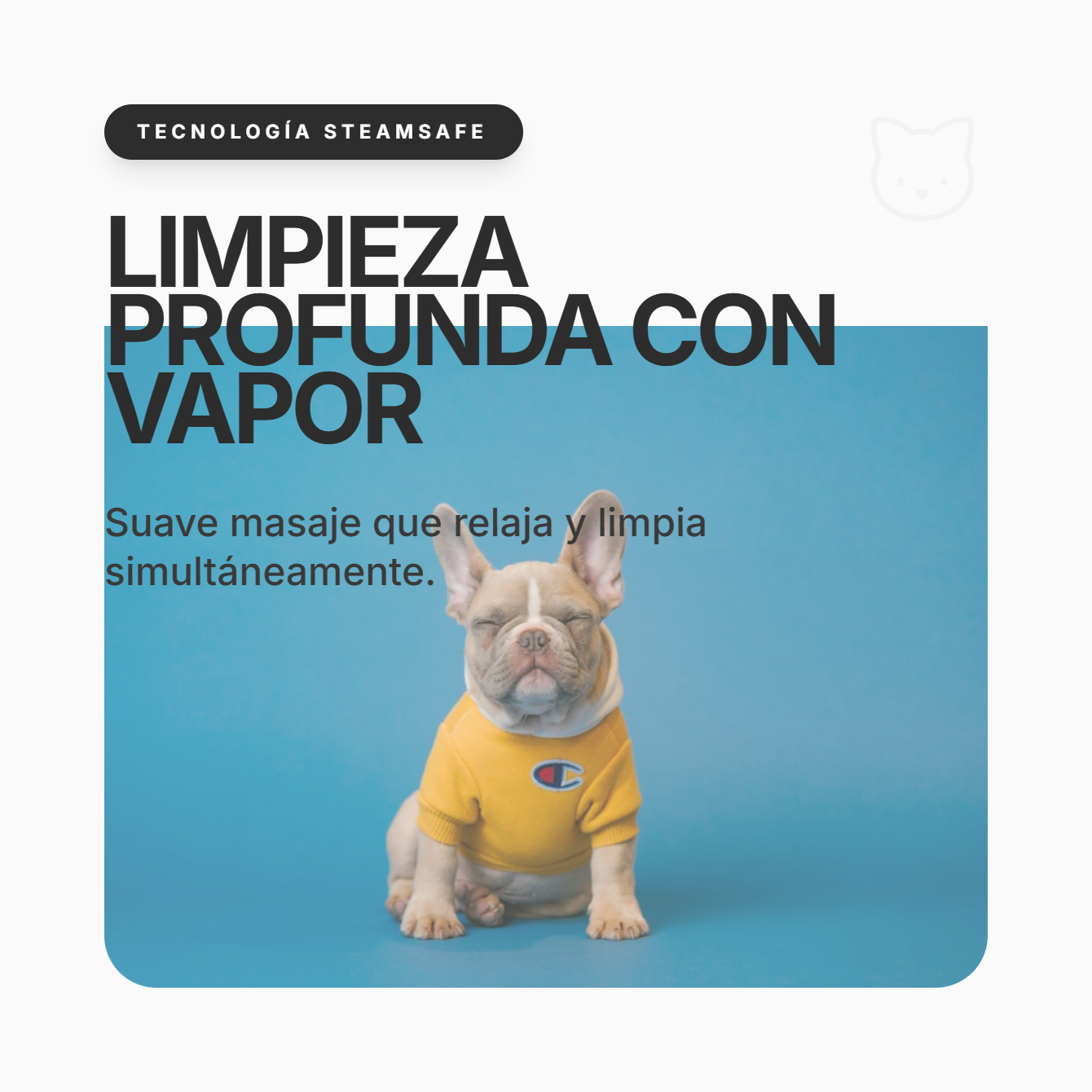 PetGlow “Tu mascota impecable, tu hogar feliz”
